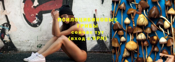 spice Киренск