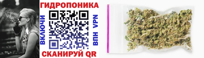 Бошки Шишки Amnesia  Купить где  Крымск 